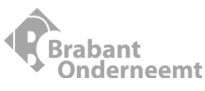 Brabant onderneemt